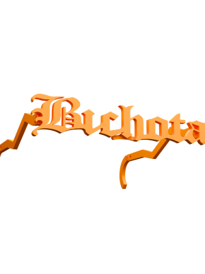 Bichota Sunglasses