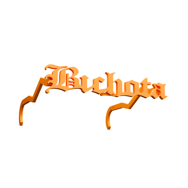 Bichota Sunglasses